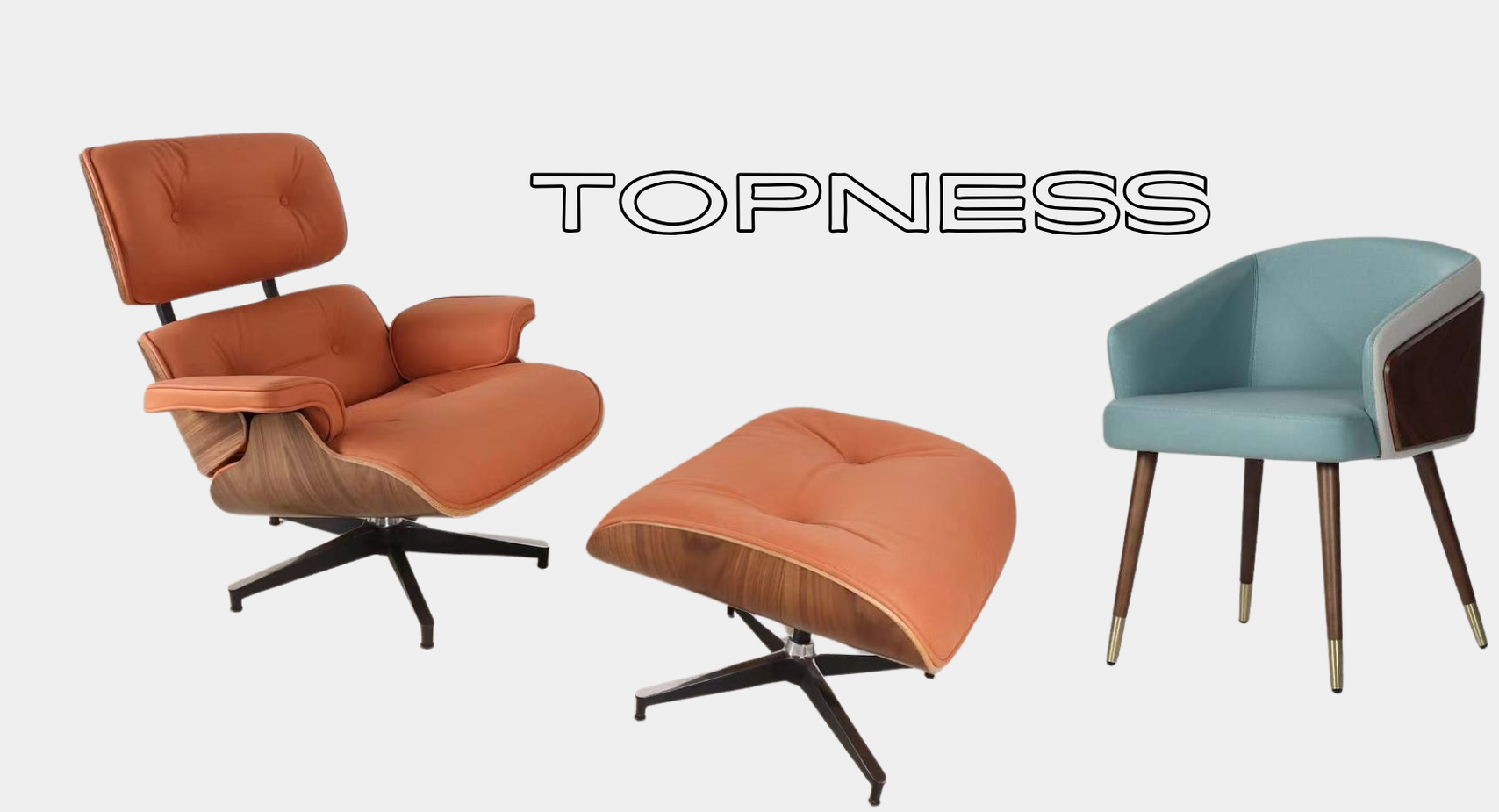 TOPNESS (4)